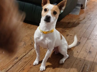 Enzo Photo