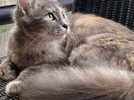 Dusty Photo