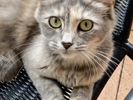 Dusty Photo