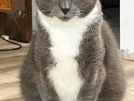 Winston Photo