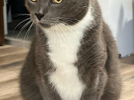 Winston Photo