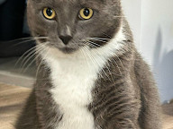 Winston Photo