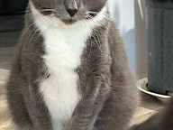 Winston Photo