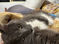 Winston Photo