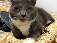 Winston Photo