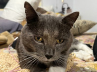 Winston Photo
