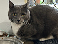 Winston Photo