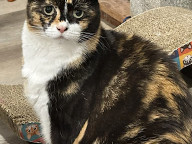 Missy Photo