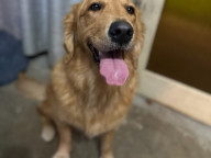 Bindi Photo
