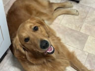 Bindi Photo